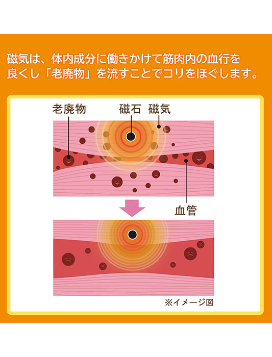 ＜ルシアン×ピップエレキバン＞腰こりらっくす　セミロング丈　